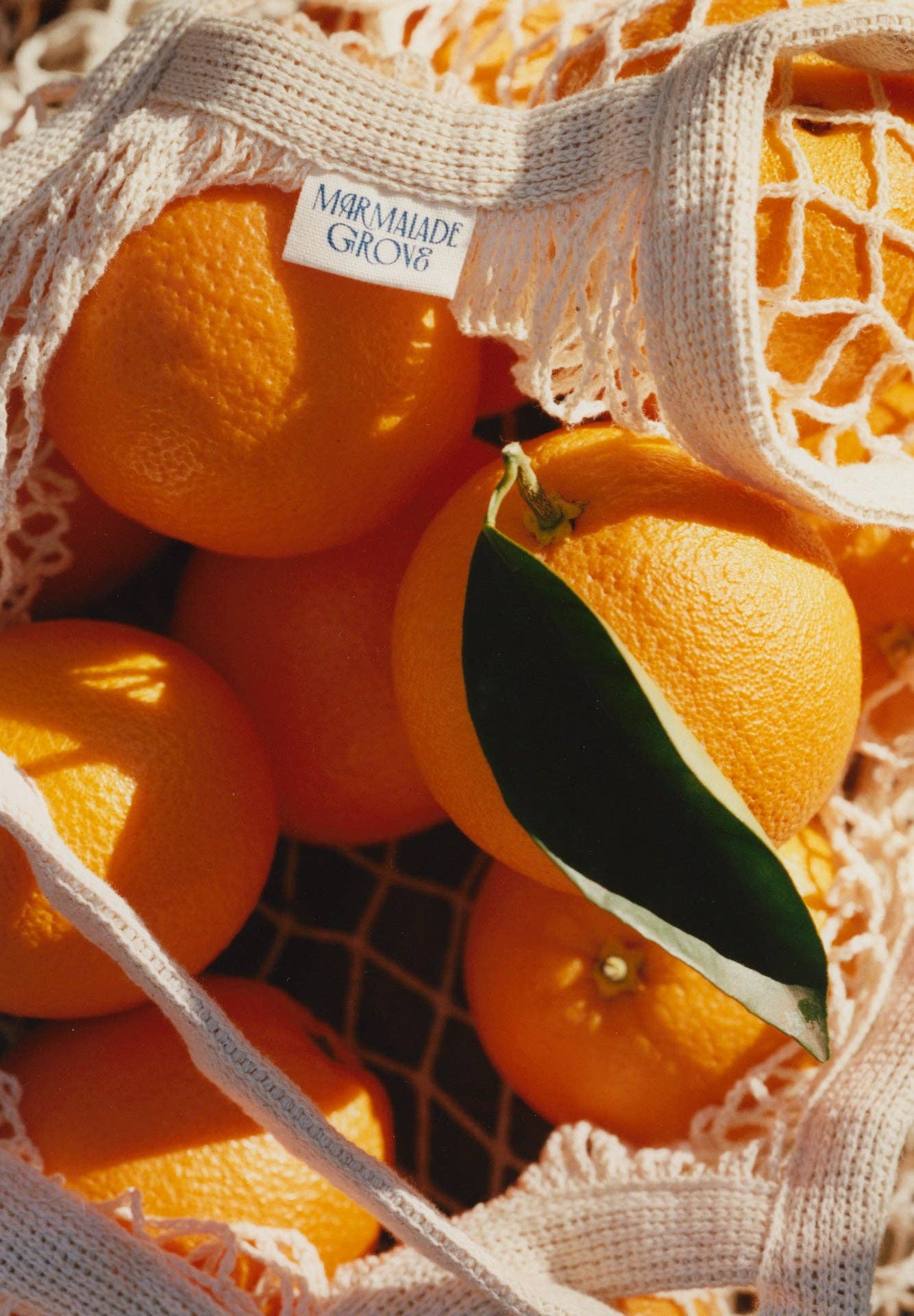 "Tea Time" Navel Orange & Ceylon Tea Marmalade