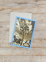 Desert Notecard - Joshua Tree