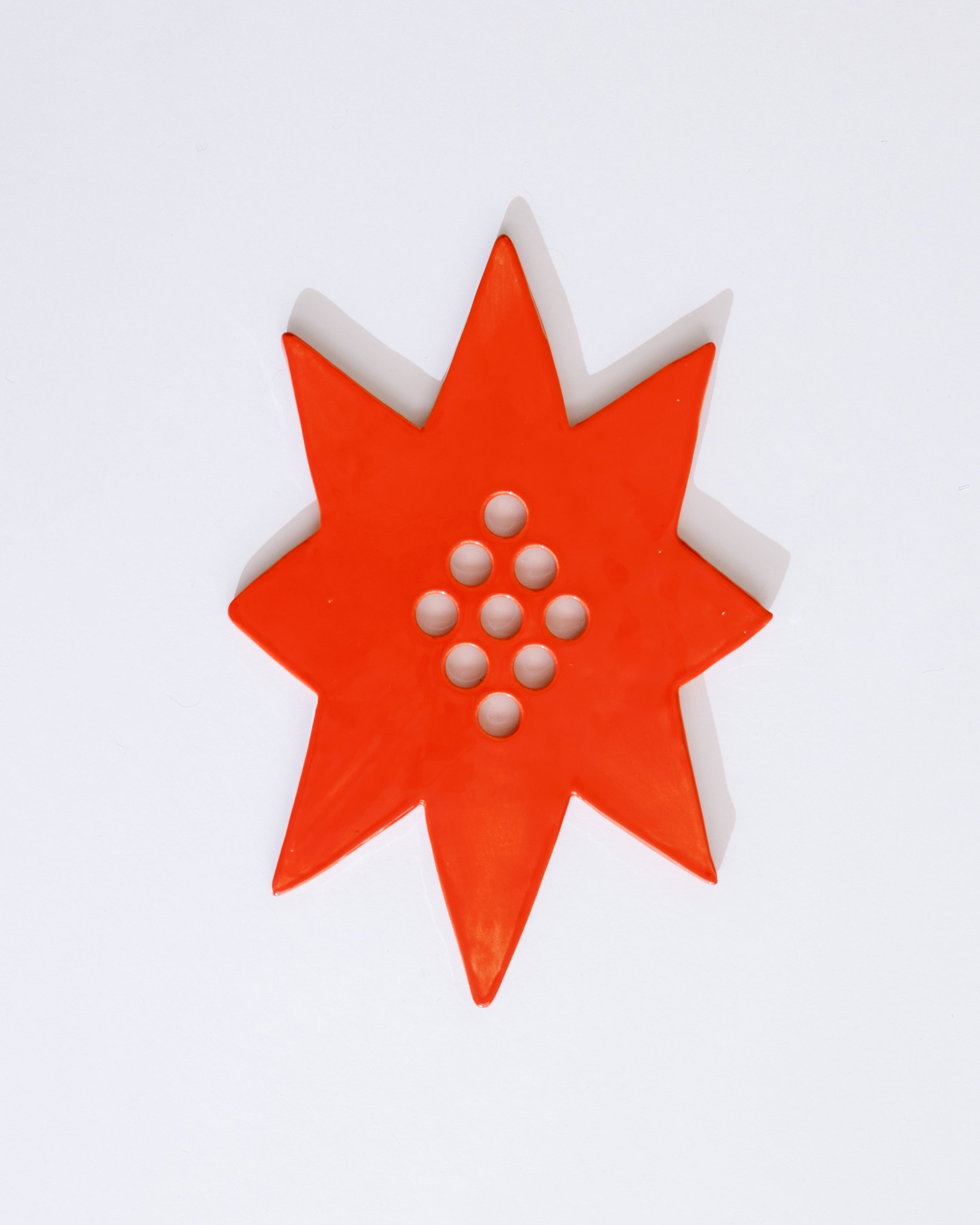 Star Flower Frog – Local Nomad