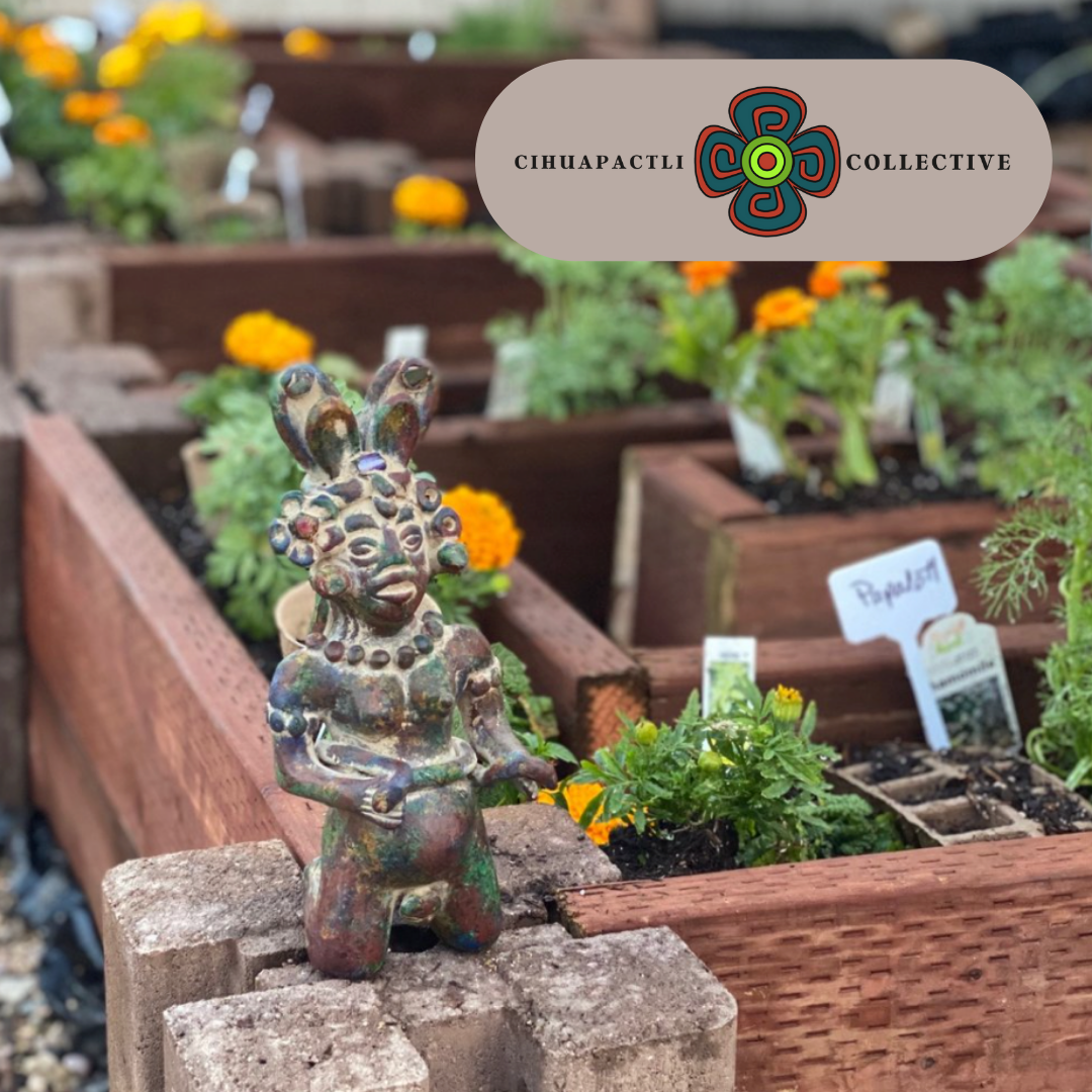Introducing: the Cihuapactli Collective