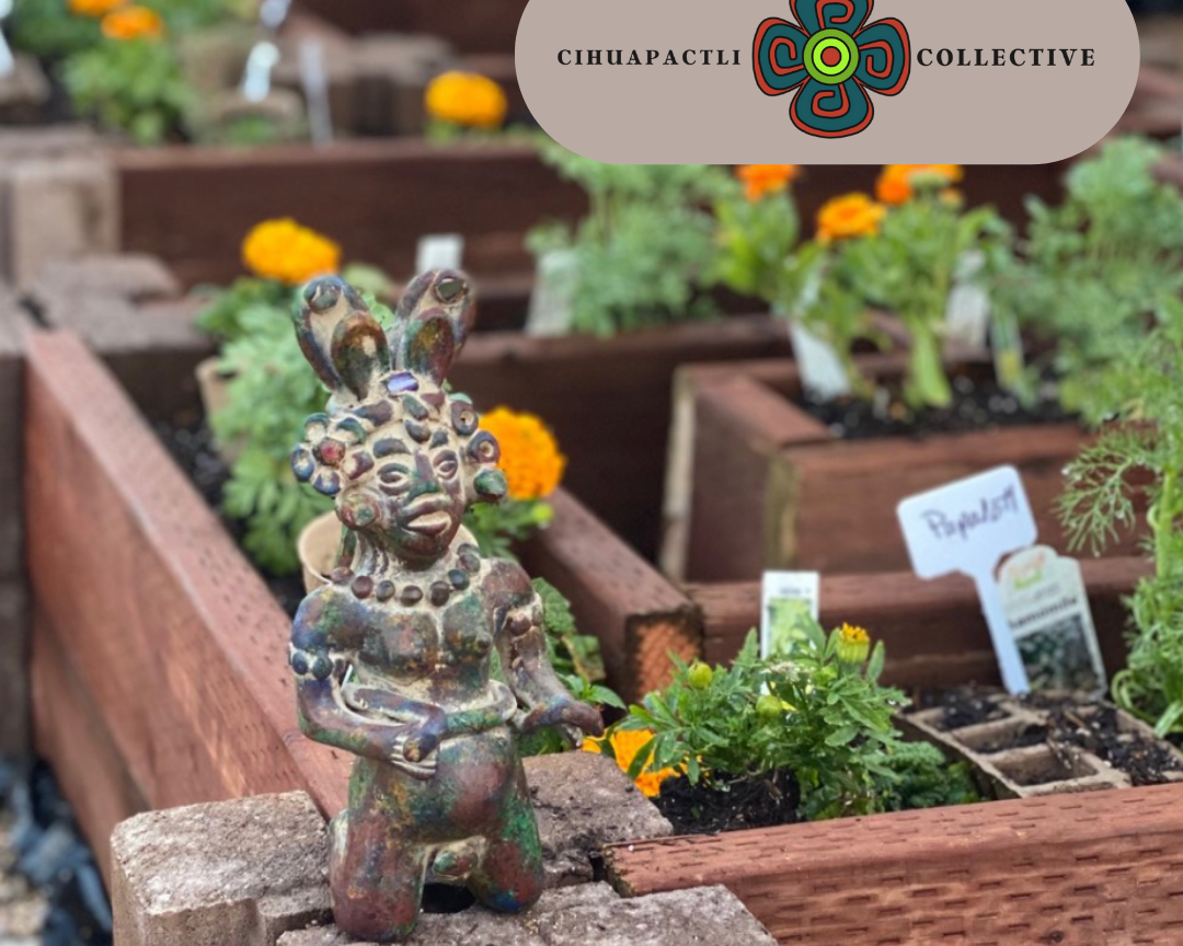 Introducing: the Cihuapactli Collective