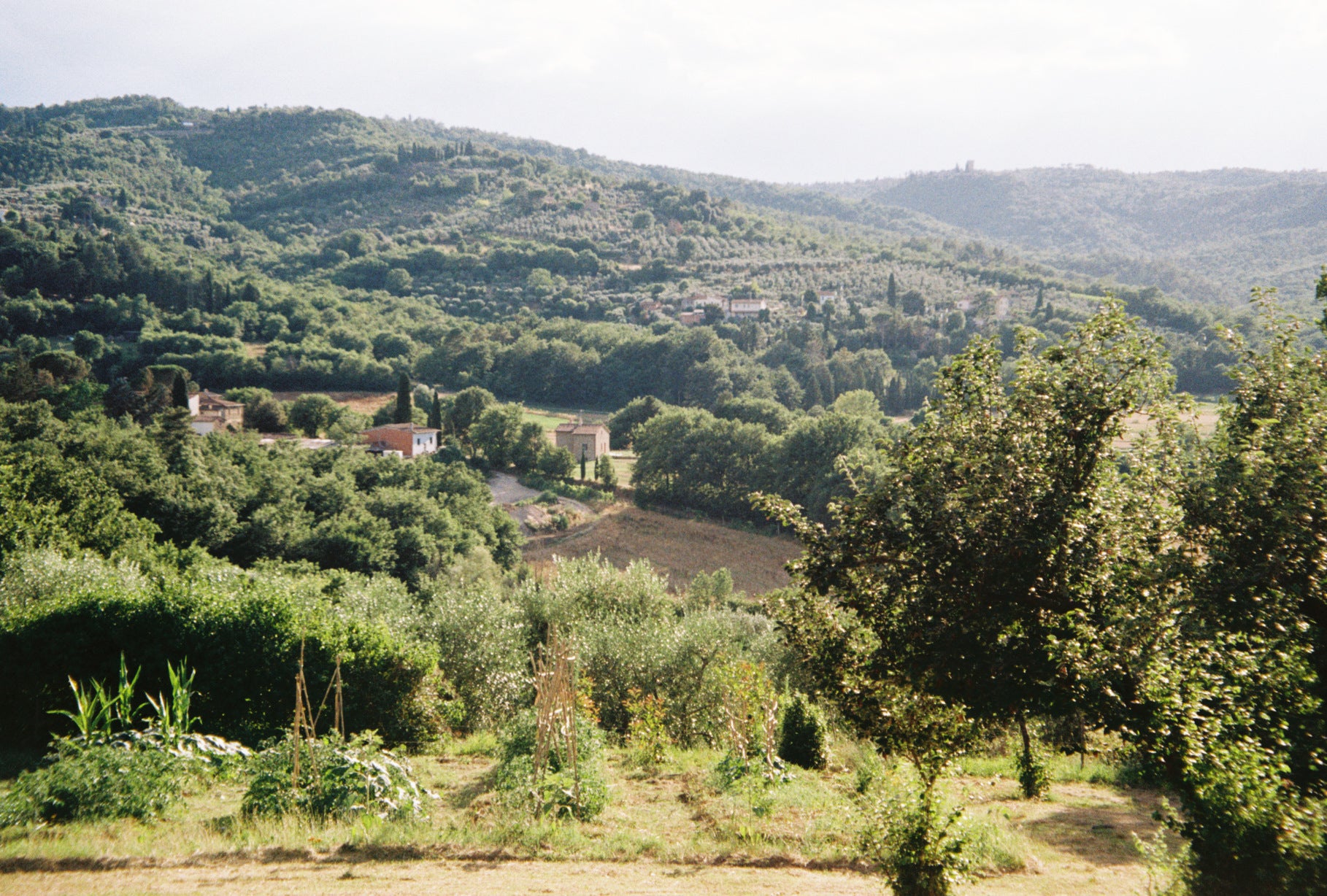 Alyah's Summer Recap