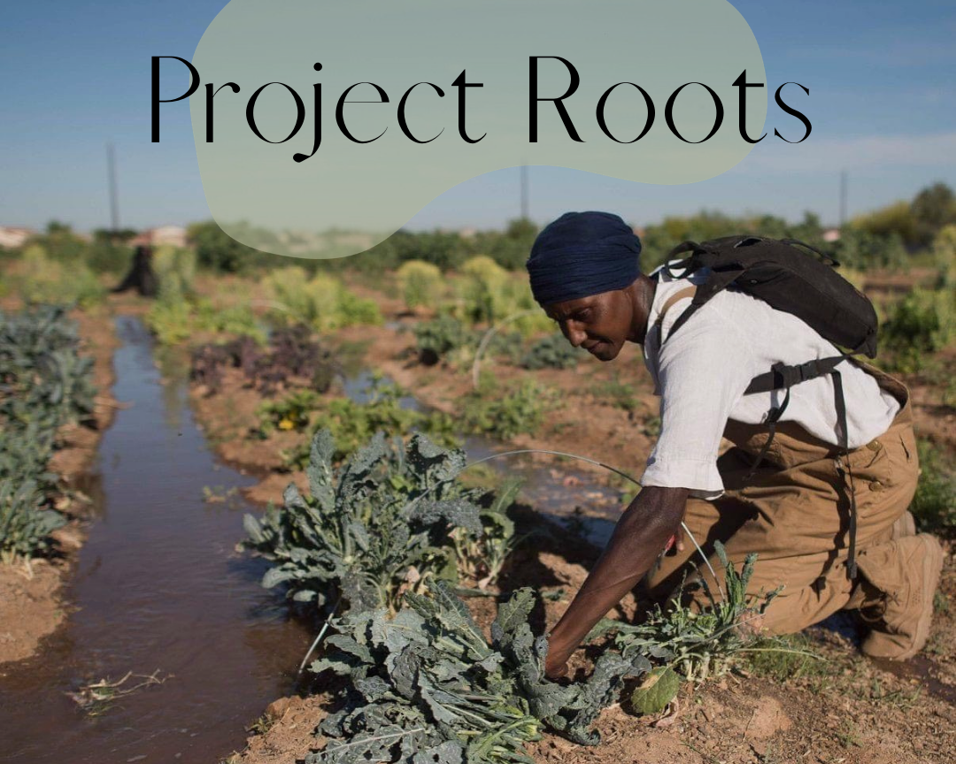 Project Roots