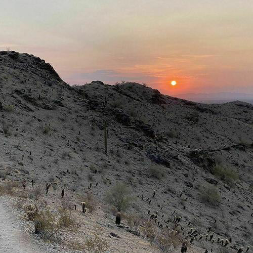 hiking in the phoenix desert