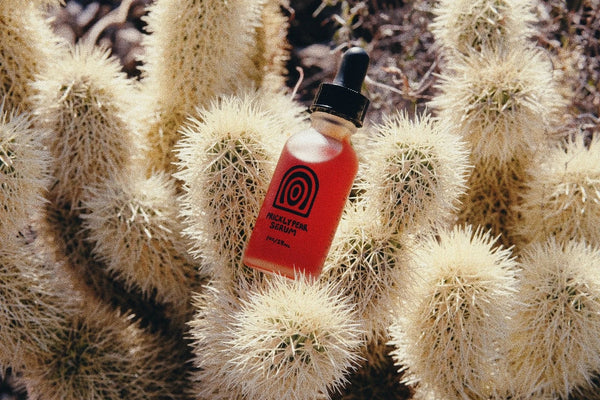 Mother Mountain Herbals