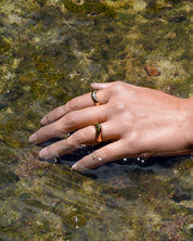 Crest Ring