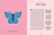 Butterflies: A Guide for the Curious
