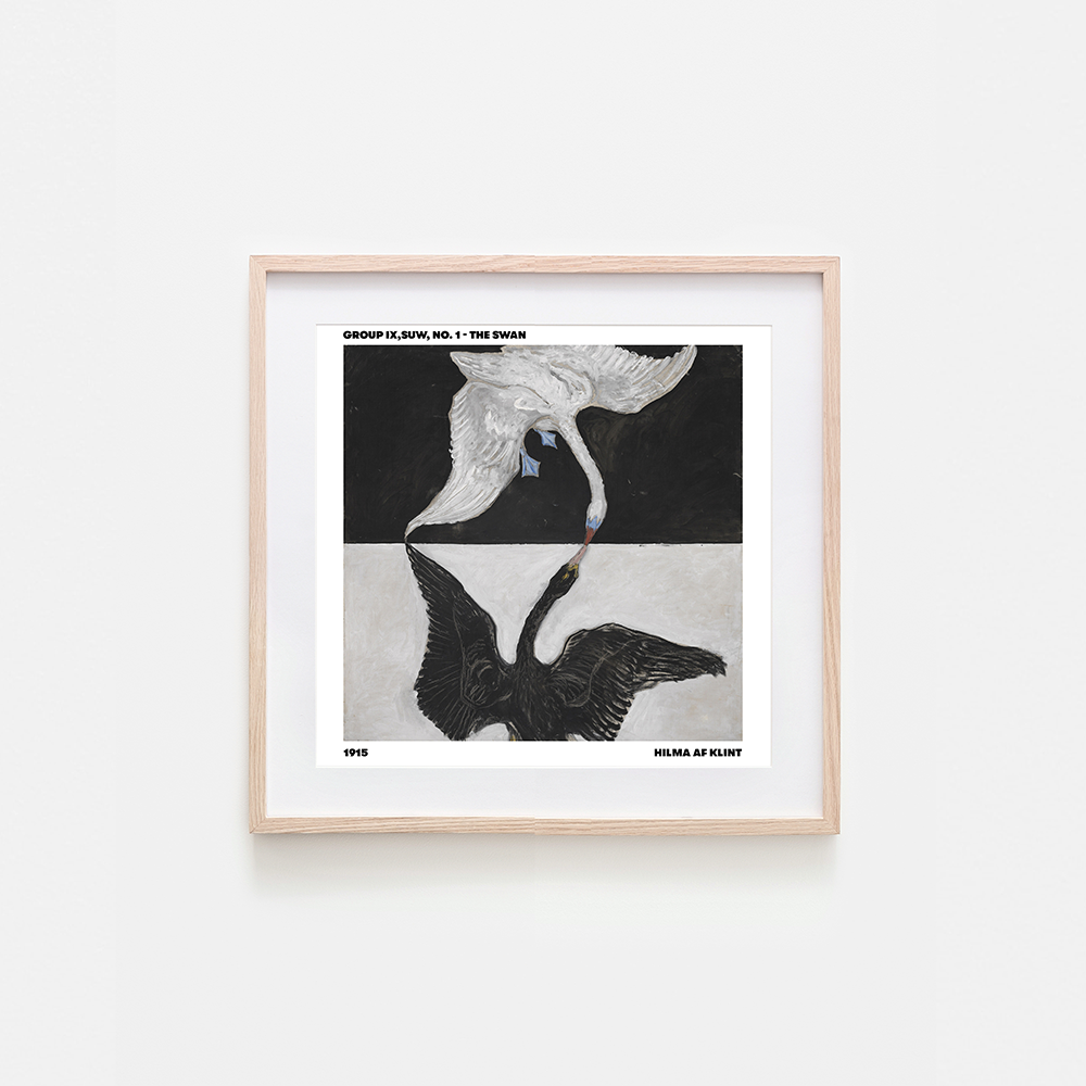 The Swan No.1 Art Print
