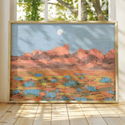 Big Bend National Park Art Print