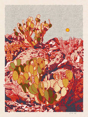 Cactus Planet #4 Print