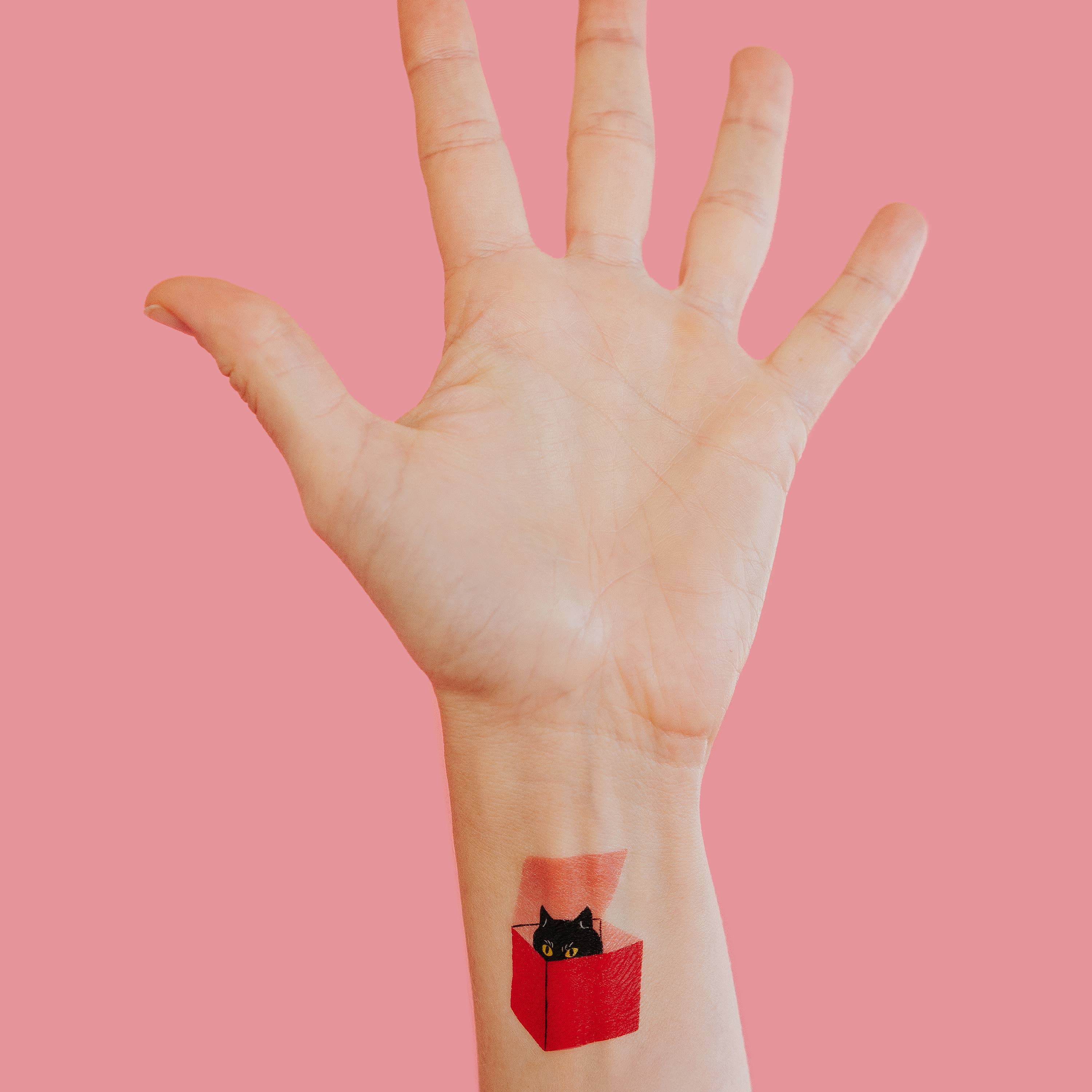 Cat in a Box Tattoo Pair