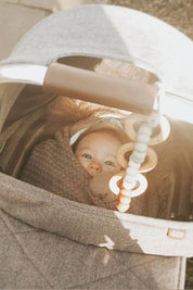 Car Seat Toy - Oat