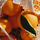 "Tea Time" Navel Orange & Ceylon Tea Marmalade