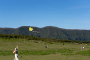 Pocket Kite