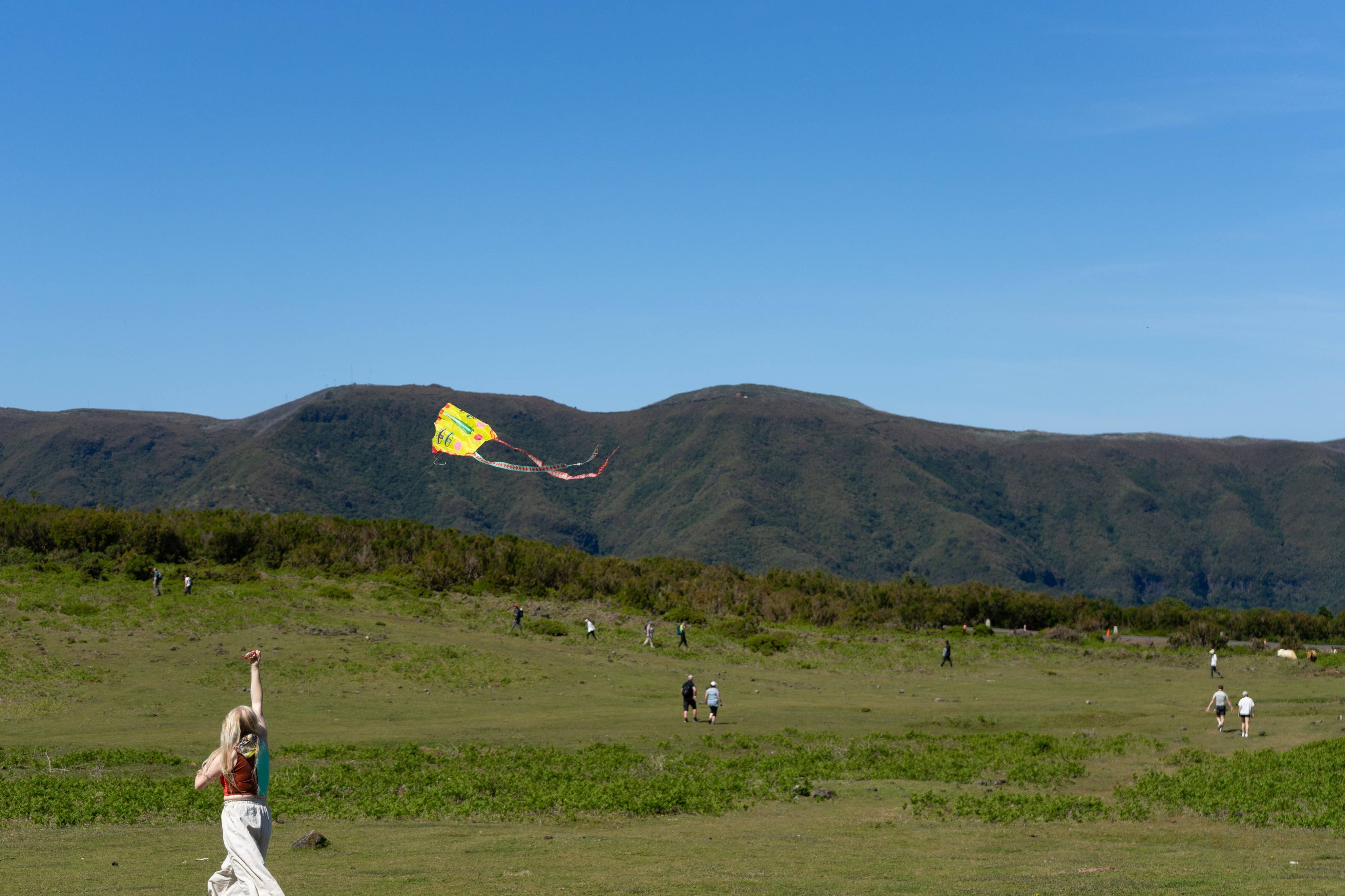 Pocket Kite