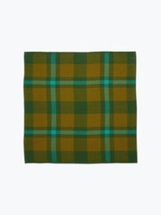 Charleston Plaid Napkin Pair - Seagrass