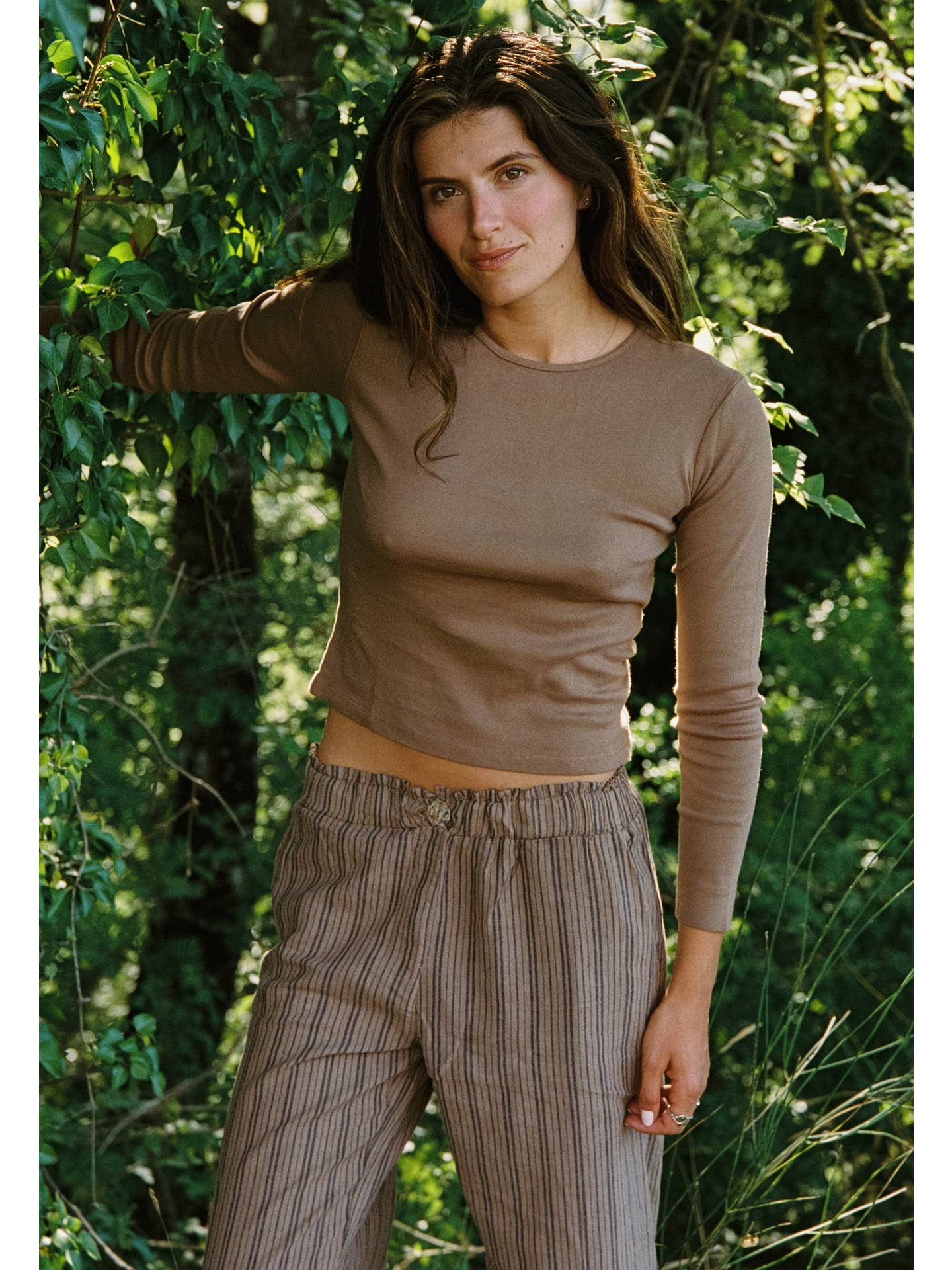 Washed Stripe Trouser - Chestnut Stripe