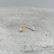 Micro CZ Starburst Studs