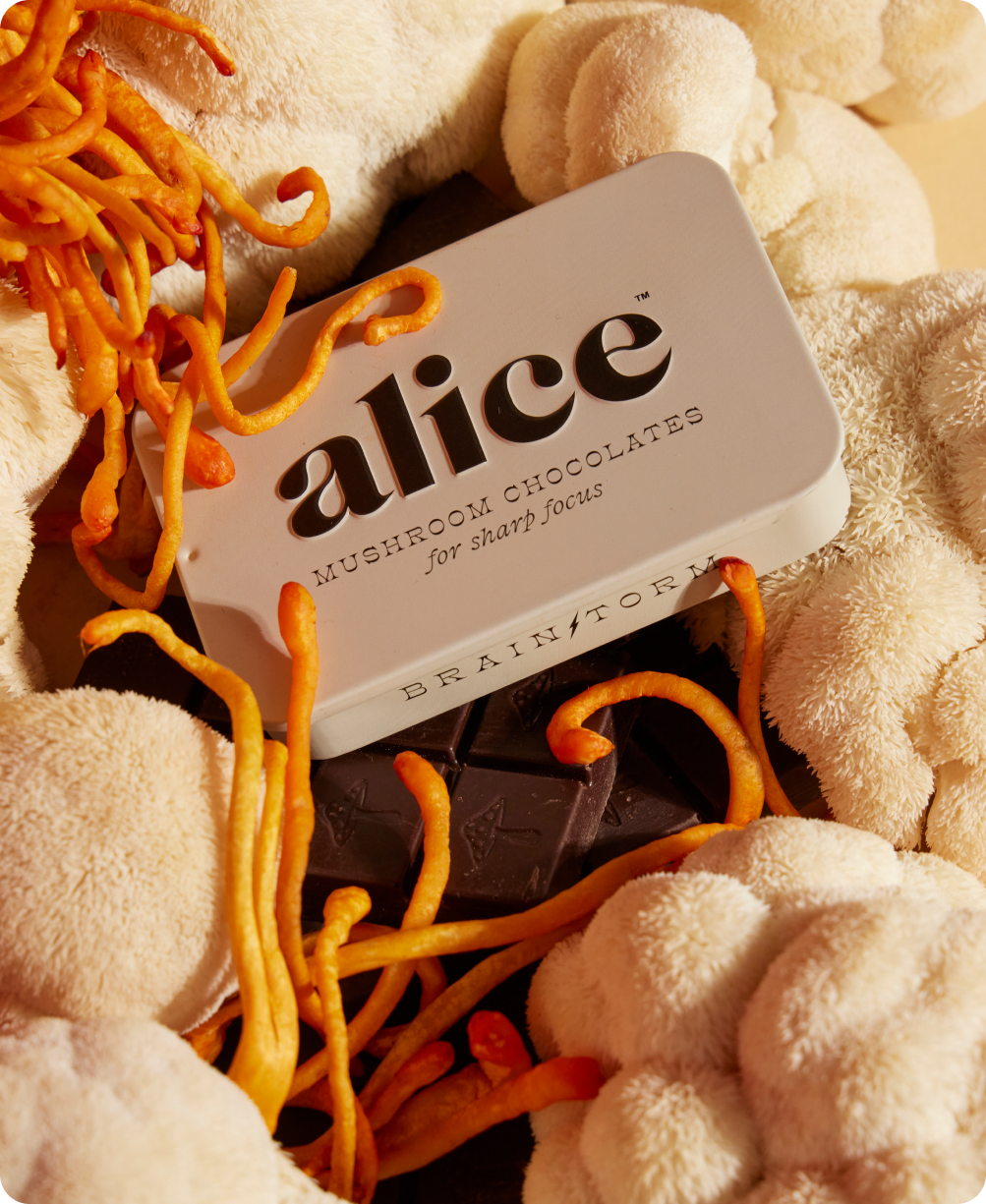 Brainstorm - Mushroom Chocolates for Focus