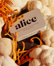Brainstorm - Mushroom Chocolates for Focus