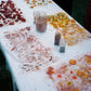 Natural Bundle Dye Kit: Silk Scarf
