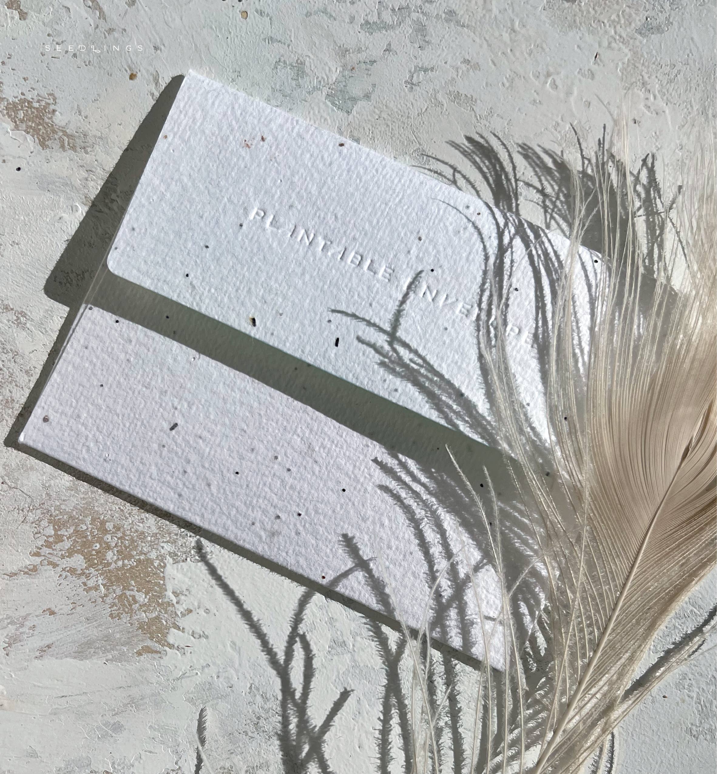 Desert Haze Card