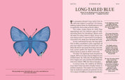 Butterflies: A Guide for the Curious