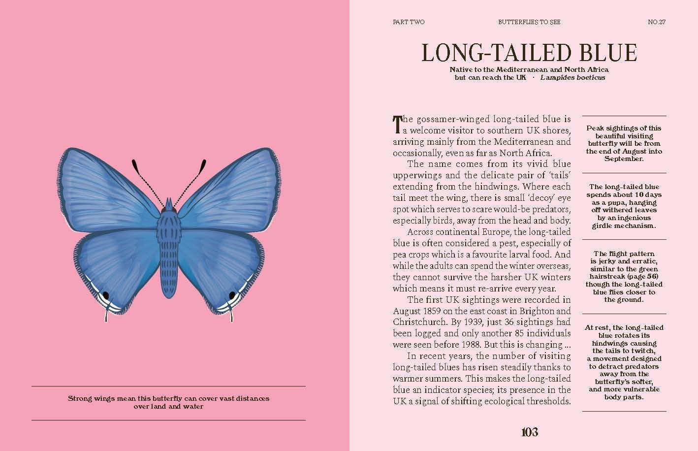 Butterflies: A Guide for the Curious