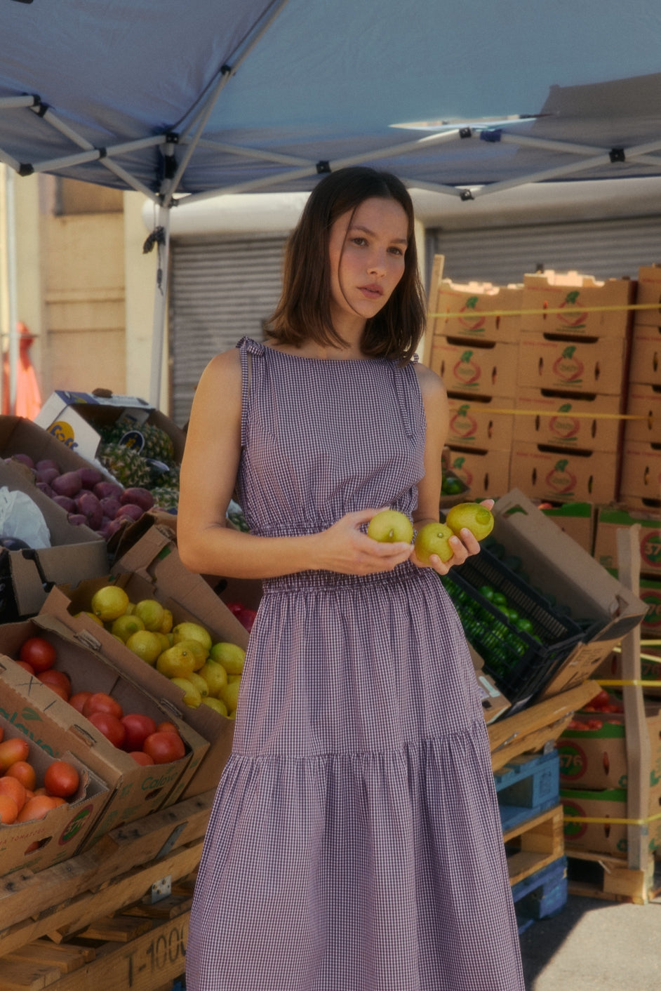 The Carroll Dress - Brown