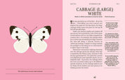 Butterflies: A Guide for the Curious