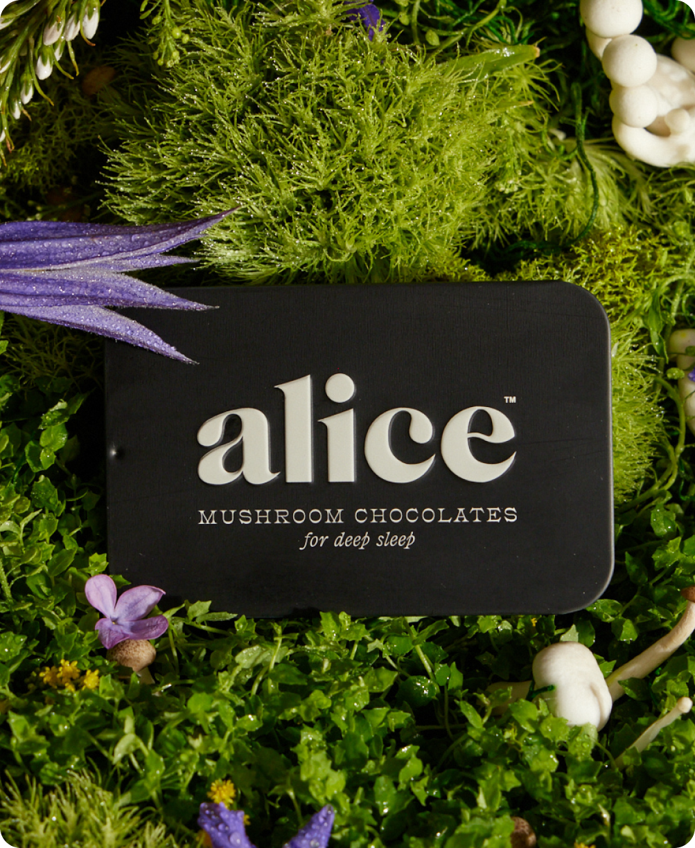 Nightcap - Mushroom Chocolates for Deep Sleep