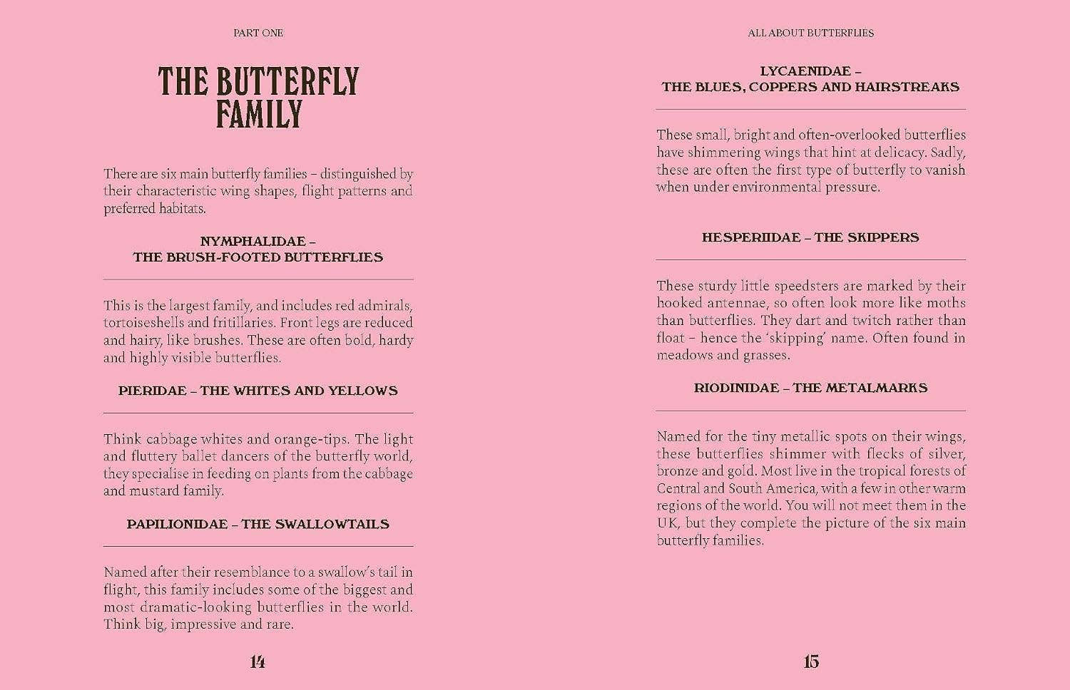 Butterflies: A Guide for the Curious