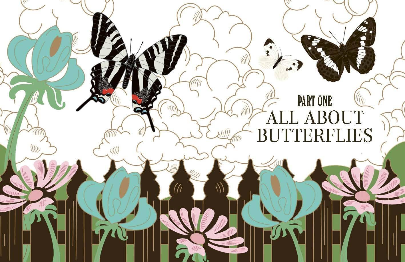 Butterflies: A Guide for the Curious