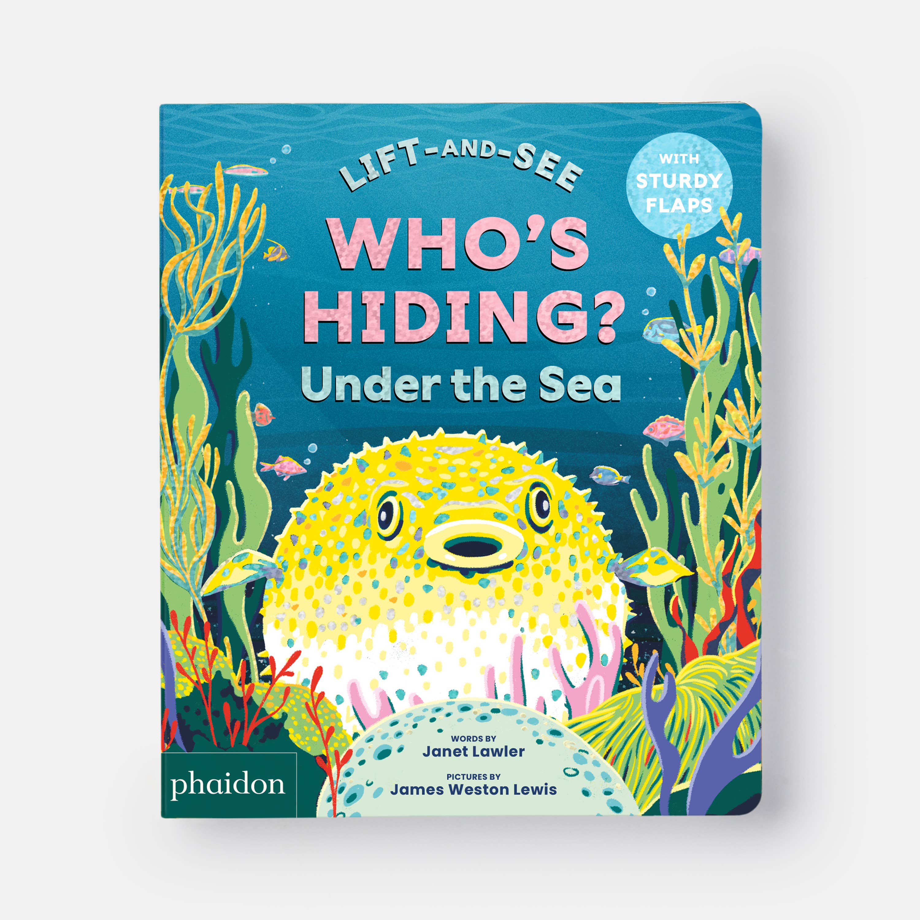 Under the Sea: A Lift-the-Flap Book