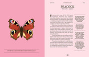 Butterflies: A Guide for the Curious