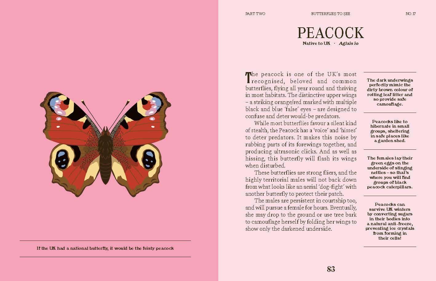 Butterflies: A Guide for the Curious