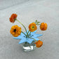 Sky Blue Star Flower Frog