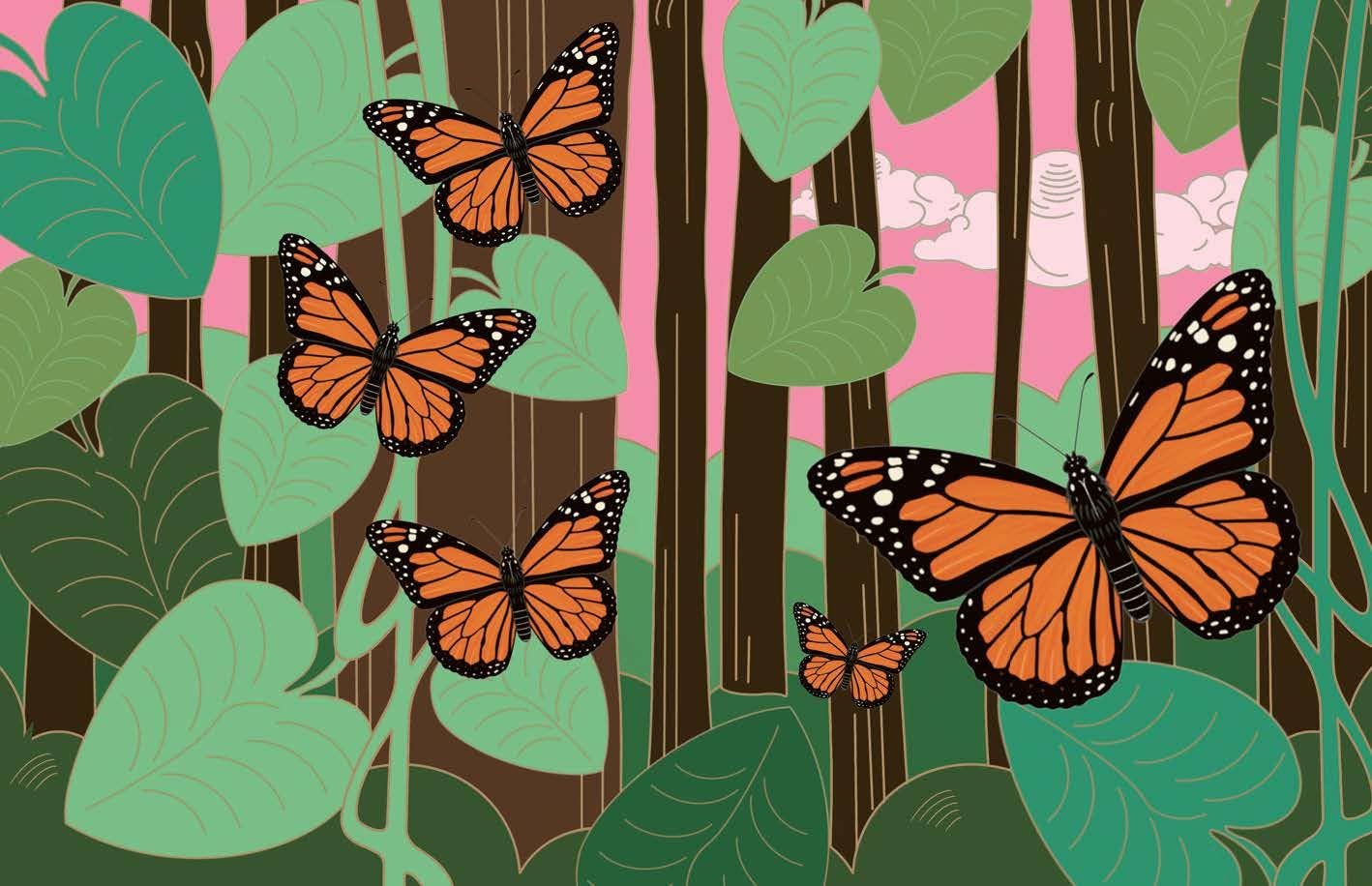 Butterflies: A Guide for the Curious