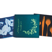 Sunography Fabric