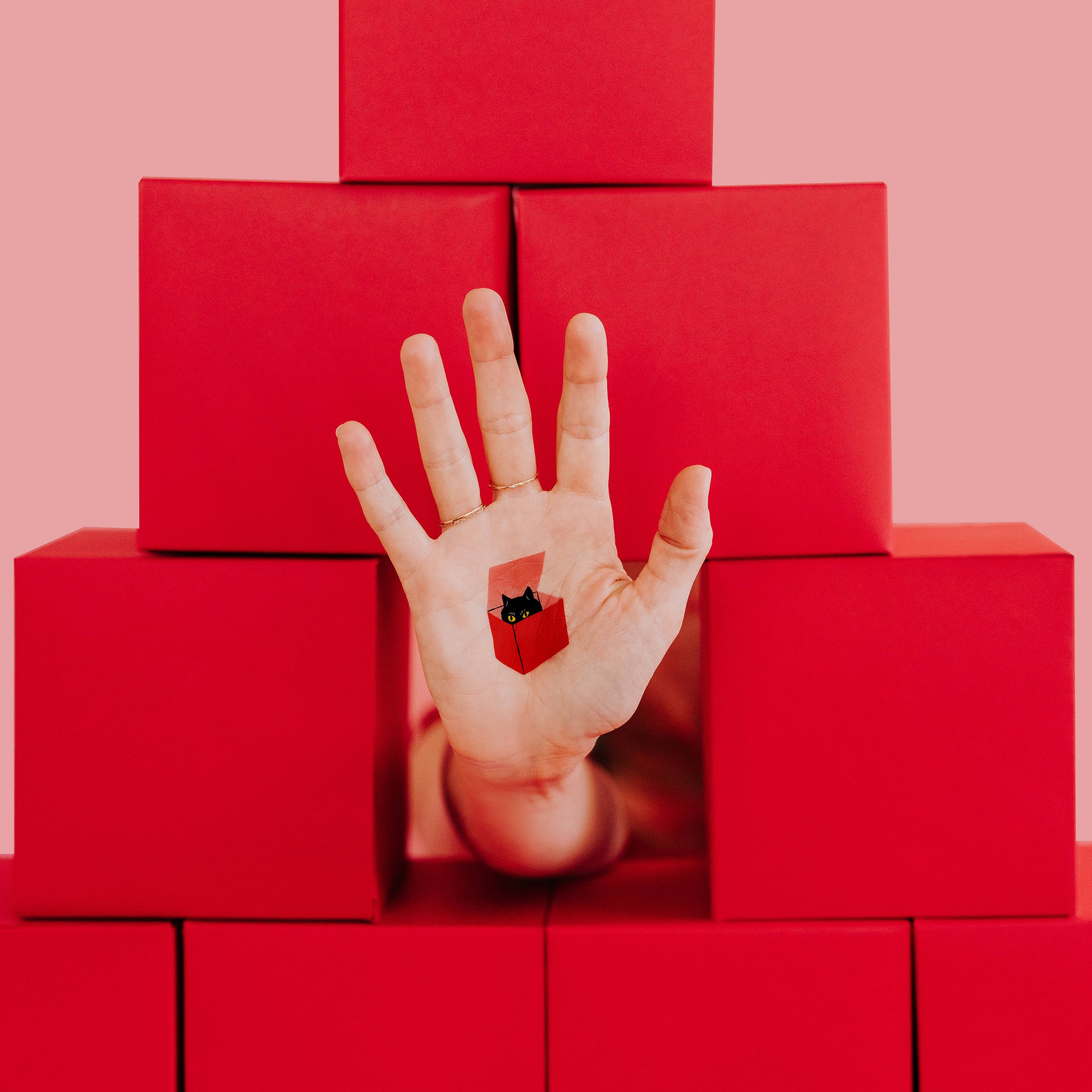 Cat in a Box Tattoo Pair