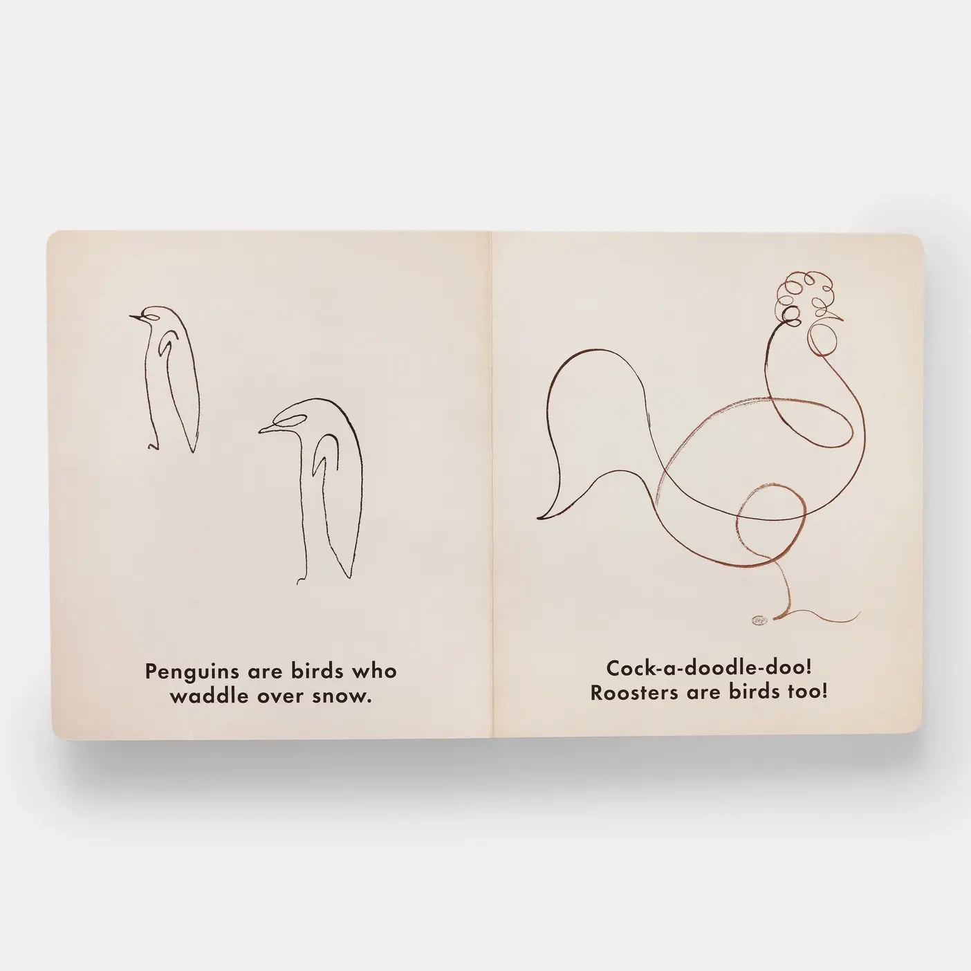 Birds & Other Animals