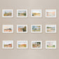 Cactus Seedlings Postcard Set