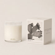 Prickly Pear Candle