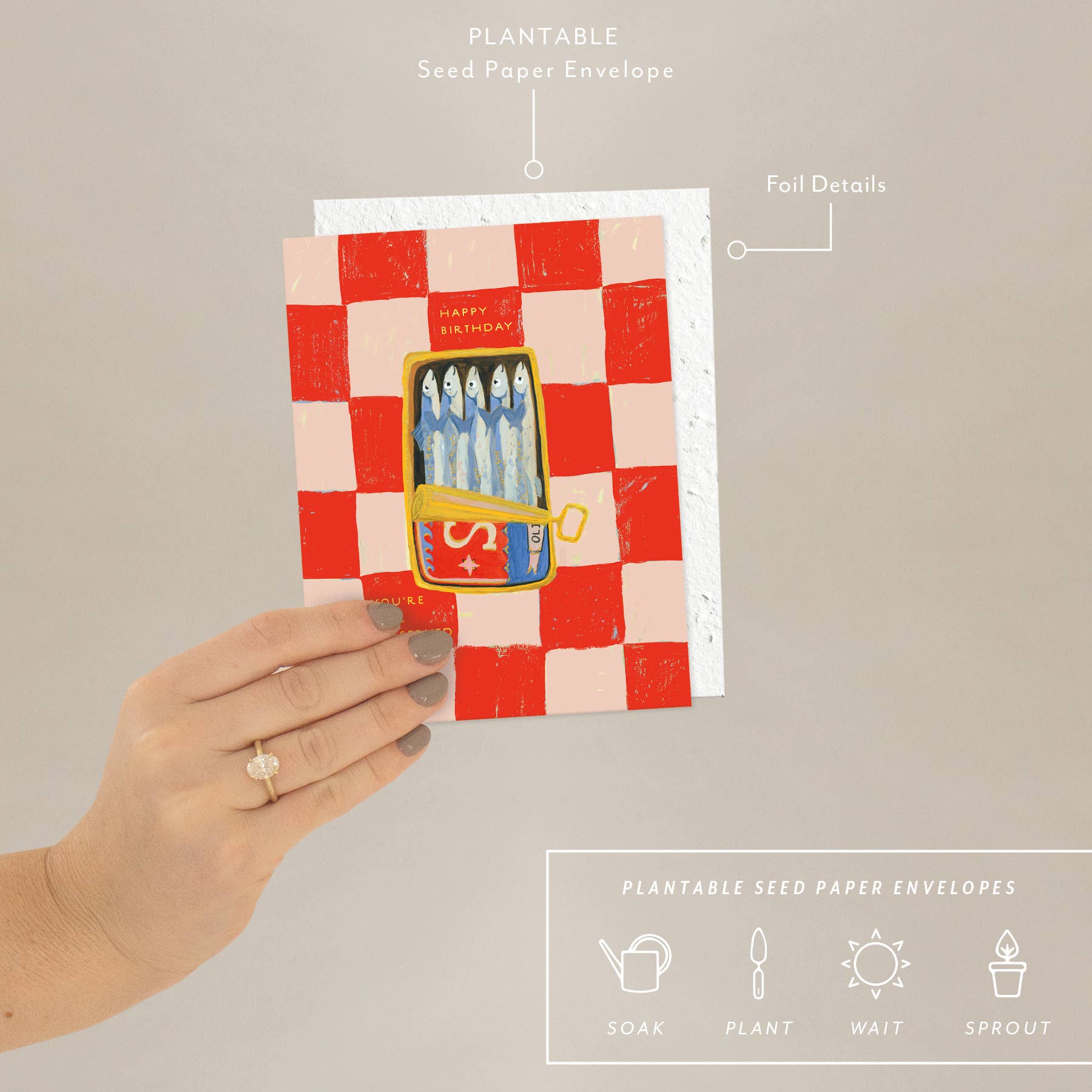 Sardines Card