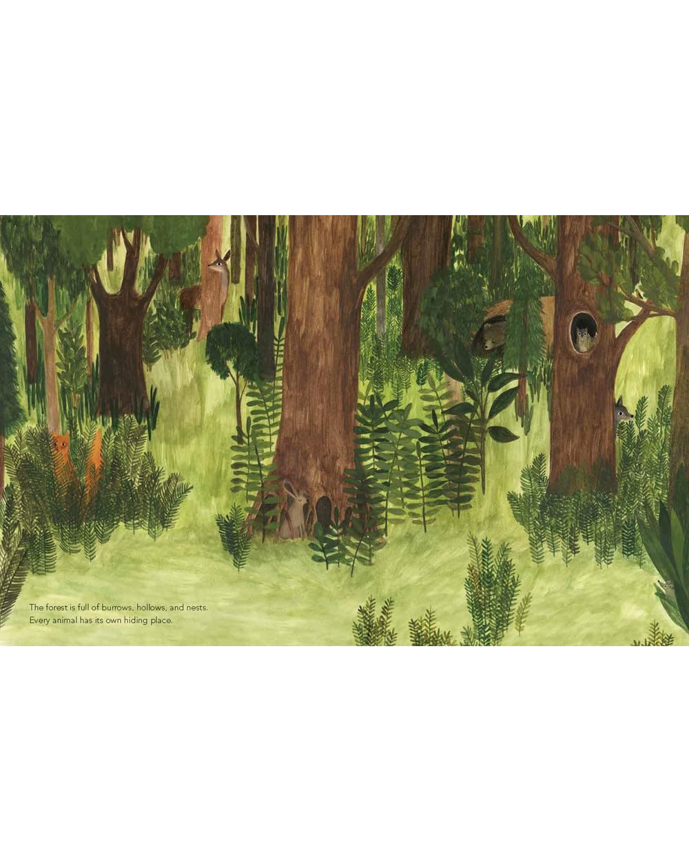 A Walk in the Forest
