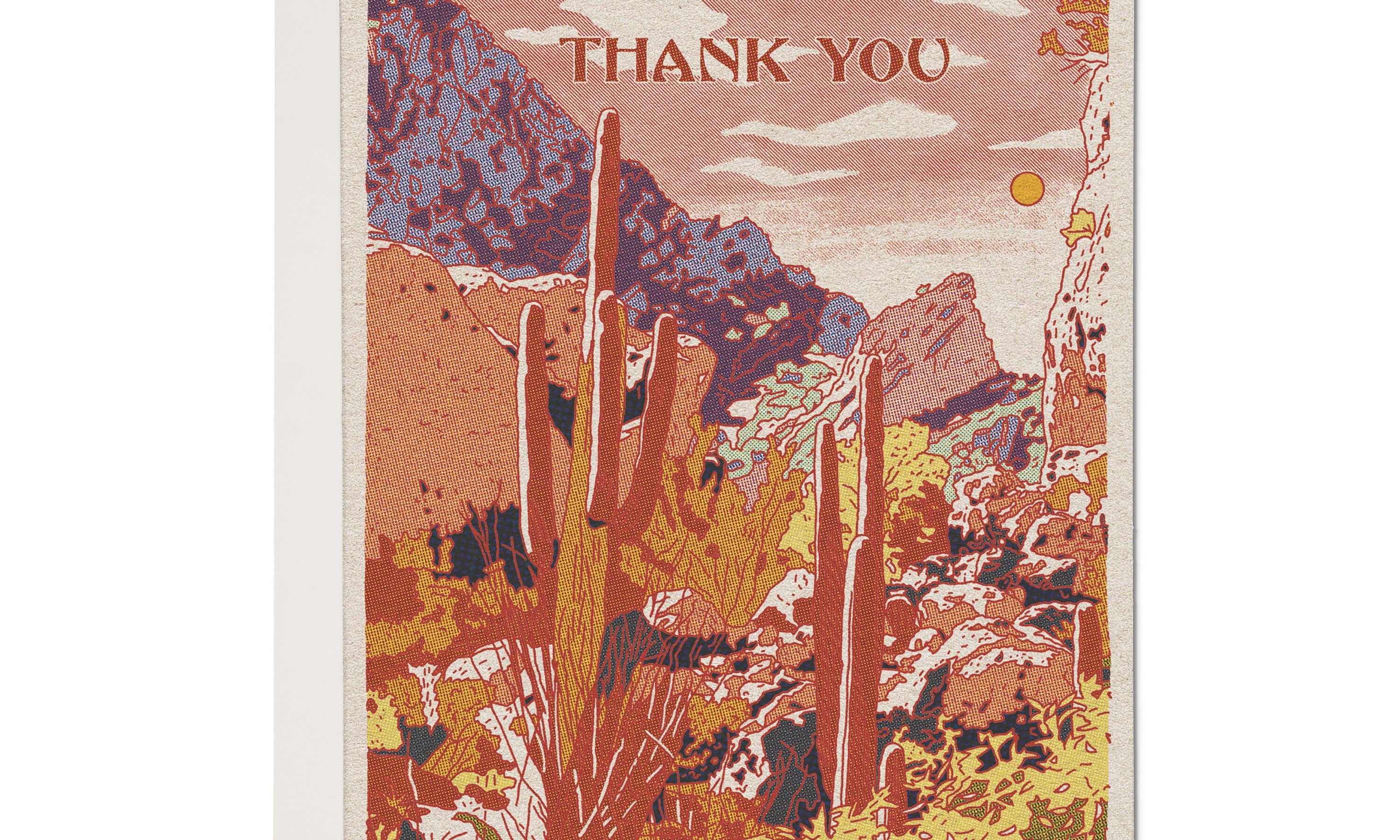Thank You Cards