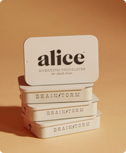 Brainstorm - Mushroom Chocolates for Focus