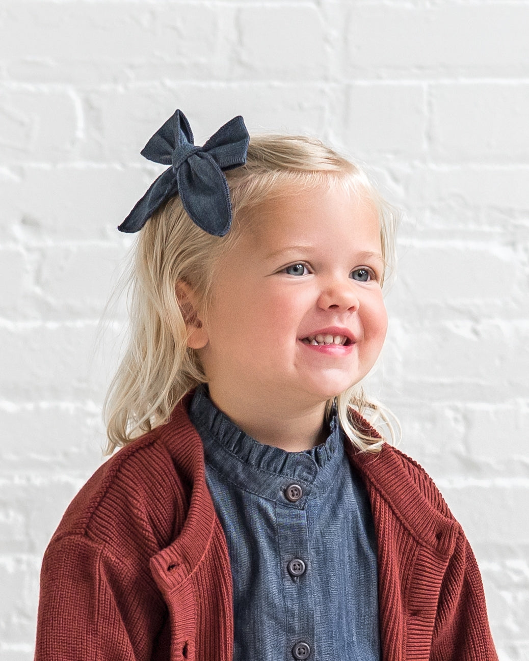 Chambray Bow Hair Clip