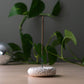 Eve Incense Holder - White Gloopy