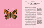 Butterflies: A Guide for the Curious